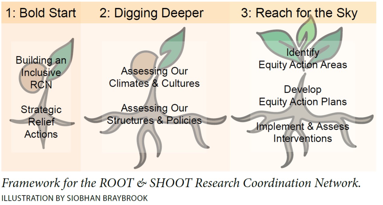 Three panels desribing the three phases of the ROOT&SHOOT project as described in the text.